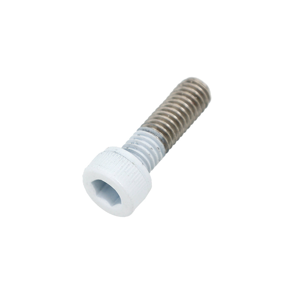 Socket Head Screw White M6x1.00x20.0