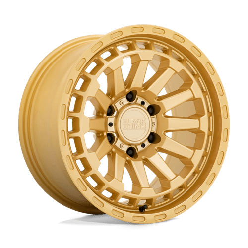 RAID 20x9.5 5X5.0 ET-18 71.50 bore Wheel